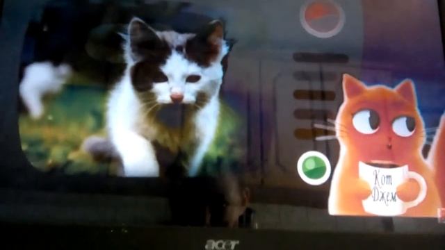 20 фактов о кошках смотреть онлайн