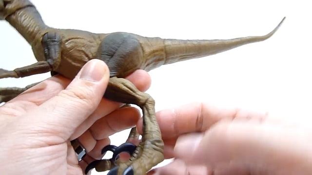 JURASSIC AMBER COLLECTION VELOCIRAPTOR REVIEW
