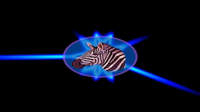 Crunk master flex Music Zebra Dubstep смотреть онлайн