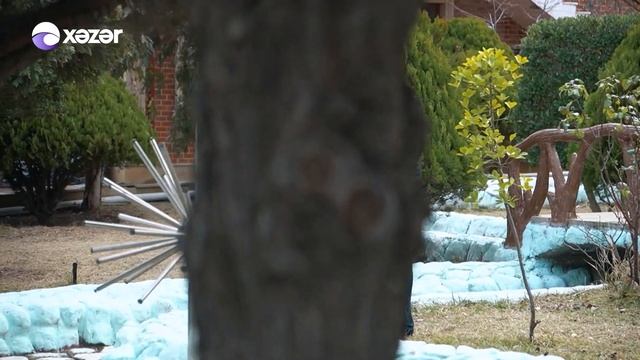 Yusif Musatafayev - Məni Birdə Cavan Eylə