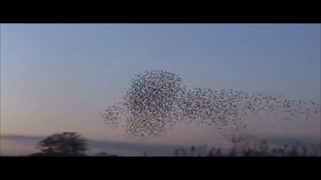 Katya Autumn & Winter Promo rough draft autumn 4 смотреть онлайн