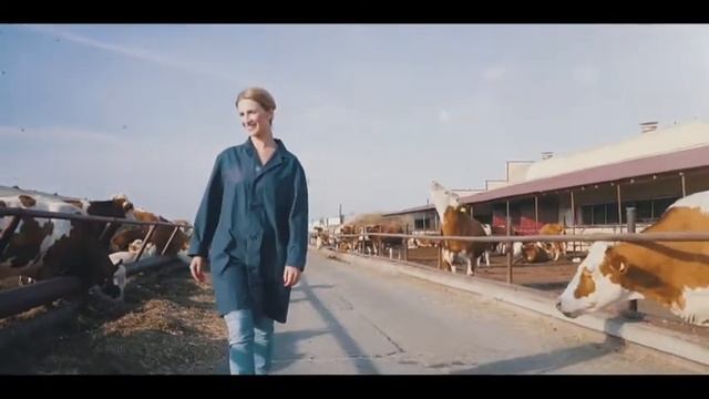 Выбираем свежее молоко смотреть онлайн