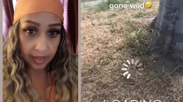 Reaction: Cockroaches🪳 Gone Wild смотреть онлайн