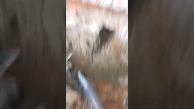 5 ноября 2018 г. смотреть онлайн