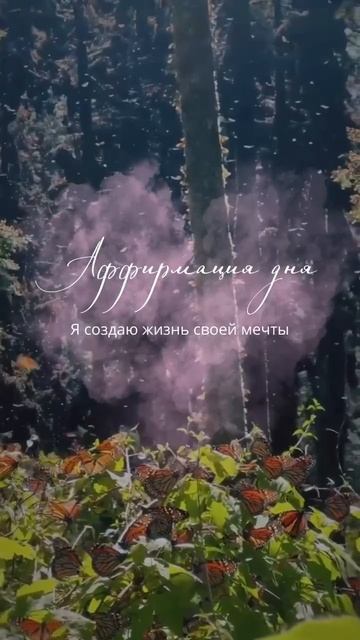 #аффирмация смотреть онлайн