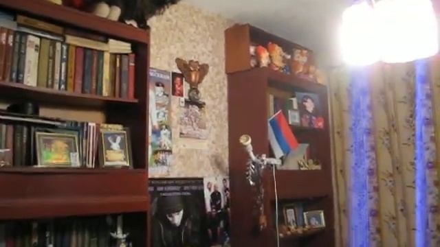 Мой хомяк переросток))) смотреть онлайн