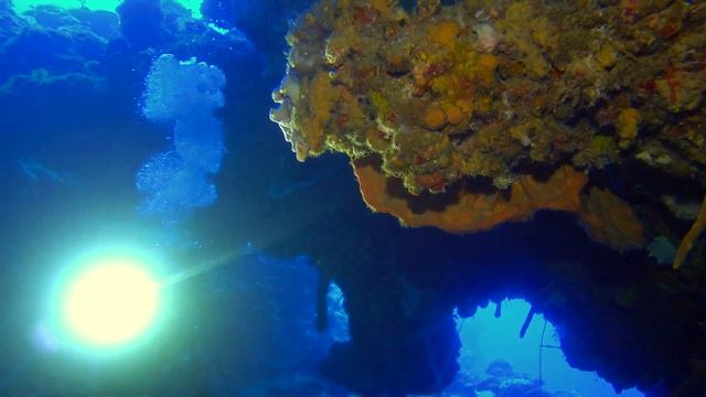 Orbit's Canyon Dive смотреть онлайн