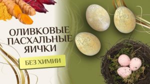 Оливковые яички на Пасху без искусственных красителей