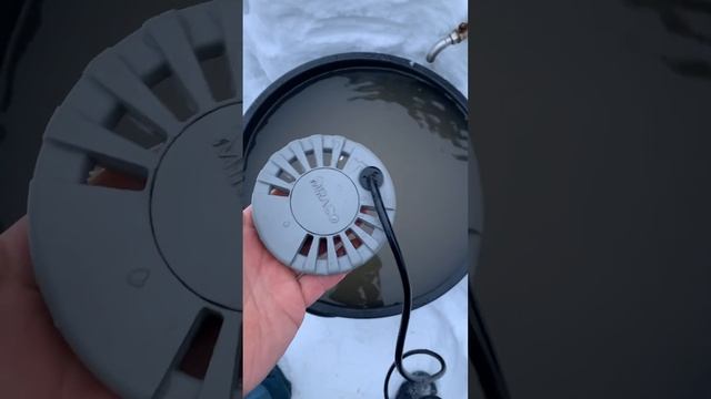 Тёплая поилка за 1 минуту смотреть онлайн