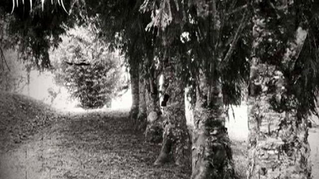 DOMINI NOCTI - Nostalgia (Black Metal/Ambient) смотреть онлайн