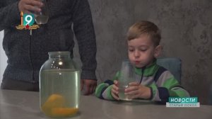 «Почём березовые слезы?»: сбор натурального сока в лесах карается штрафом