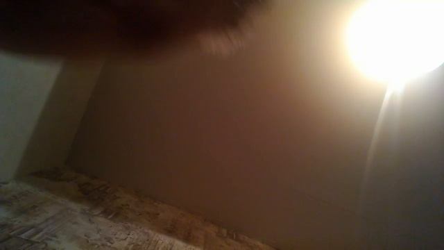 Я ем горчицу