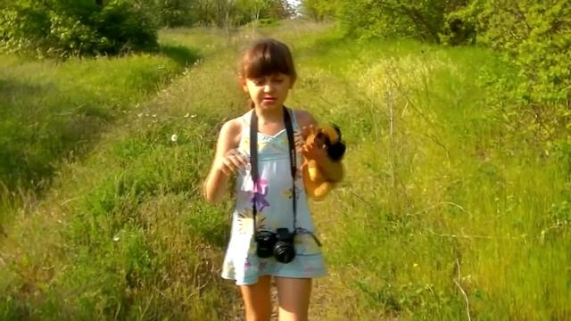 🌸БИТВА!!! ОХОТА 2🌸 Природное шоу 🌸 Жуки делят власть!!! Лучшие кадры битвы жуков 2017!!!🌸 смотреть онлайн