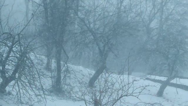 яка посилочка і погода у нас смотреть онлайн