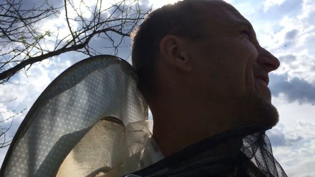 8 мая вывез пчел на рапс смотреть онлайн