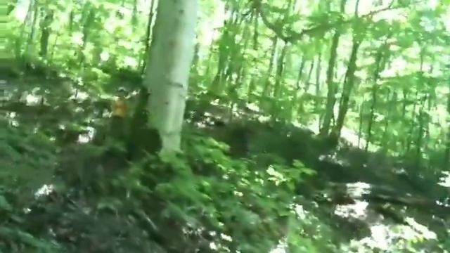 Чинара и Марк смотреть онлайн