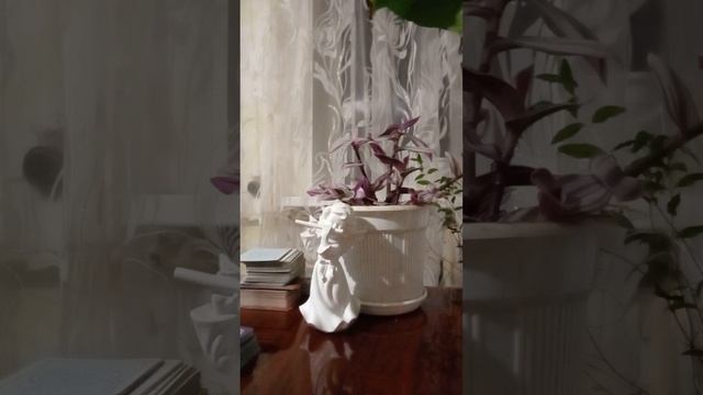 Таро.Кто за вами наблюдает. смотреть онлайн