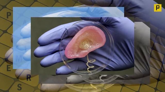 3-D Printer Makes A Bionic Ear смотреть онлайн