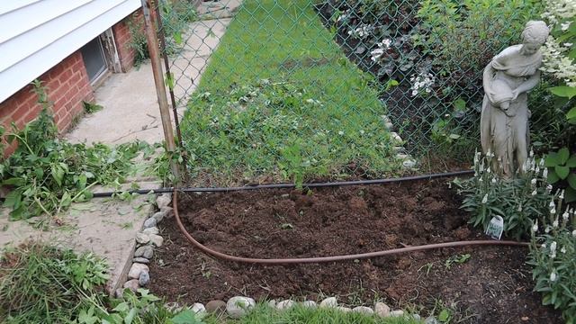 Revamping Garden bed |Garden Bed Clean Out| GardenAddictz смотреть онлайн