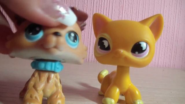 Littlest pet shop МУЗОН (НЕ КЛИП!) смотреть онлайн