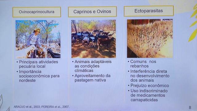 III Mostra da Medicina Veterinária Preventiva - Dia 16/6 (Uso da Momordica) смотреть онлайн