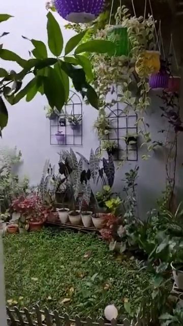 مافيش أجمل من الزرع🌵🌿ف البيت راحة نفسية🤗💐 смотреть онлайн