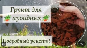Грунт для ароидных. Подробный пошаговый рецепт.