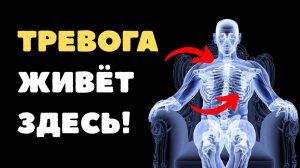 ТВОЁ ТЕЛО ЗАСТРЯЛО В СТРЕССЕ • Релаксация по Джекобсону