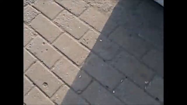 КД Владивосток - Невозможное возможно - Стоп. Снято. смотреть онлайн