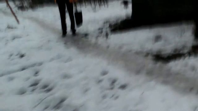 видео 001 смотреть онлайн