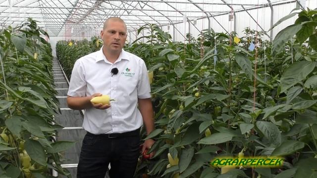 Nyílt Nap Szentesen, A Duna-R Kft.-nél, 2018. Június 22-én