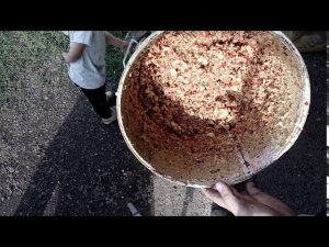 ТРАВОРЕЗКА ДРОБИМ РАНЕТКИ КУРЯМ