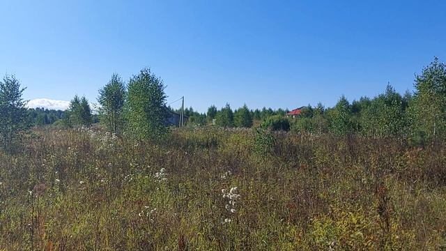 20240905_110338 смотреть онлайн