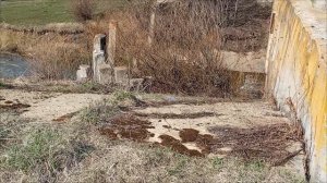 ИНФОРМАЦИЯ БЫЛА НЕ ЛОЖНОЙ, СТРАШНО И АЗАРТНО