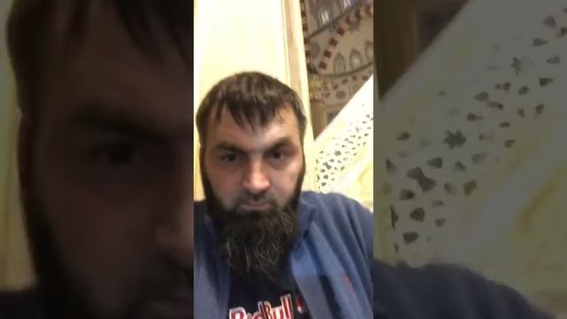 Дени шоу смотреть онлайн