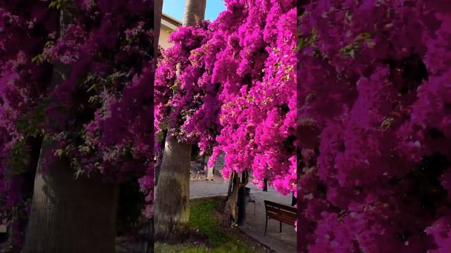 И Бог видя, че светлината беше добро; и Бог раздели светлината от тъмнината. Битие‬ ‭1:4‬ ‭