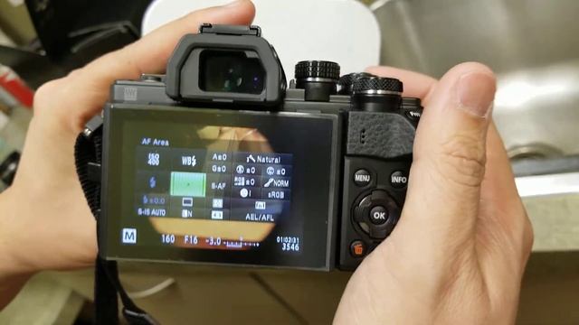 Olympus OM-D EM10 Mark II Setup For Divuser