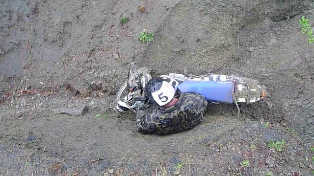 Котяра варежку разявил