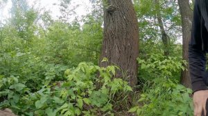 Шейный EDC нож для леса: Шип, Крот, Еж от ООО ПП Кизляр