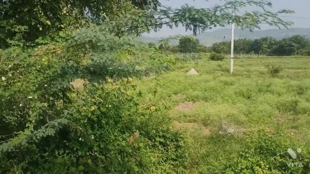 13 acre land || kadiri near Tar road bite || Pulivendhula -40 km kadapa - 80 km || anantapur смотреть онлайн