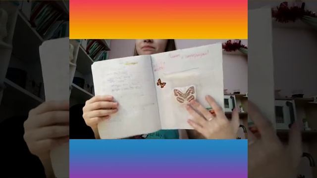 Моя коллекция блокнотов / Елизавета Лайк 🐨 смотреть онлайн
