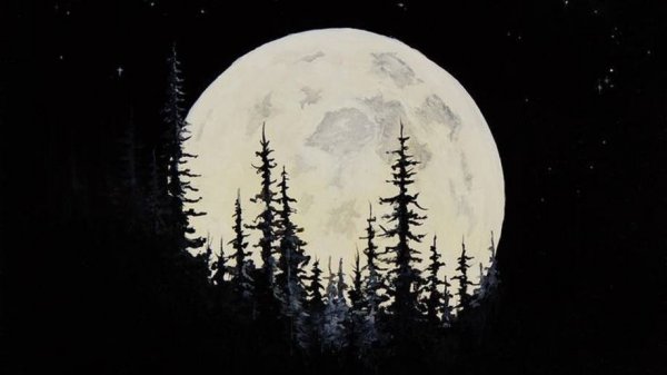 MONTAGEM MOON XX (DJ XShadow)