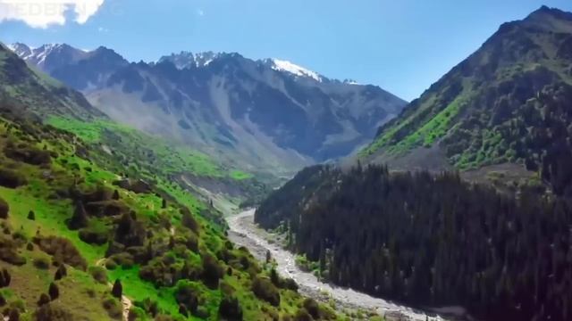 КЫРГЫЗЧА🇰🇬 ЫРЛАР😍💋 МУЗЫКА СУПЕР ХИТ 2024 #кыргызстан #ырлар #кыргызча #кыргыз смотреть онлайн