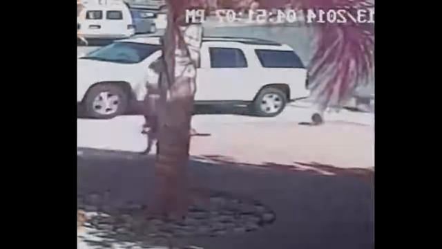 РЖАЛ 3 ЧАСА!!! смотреть онлайн