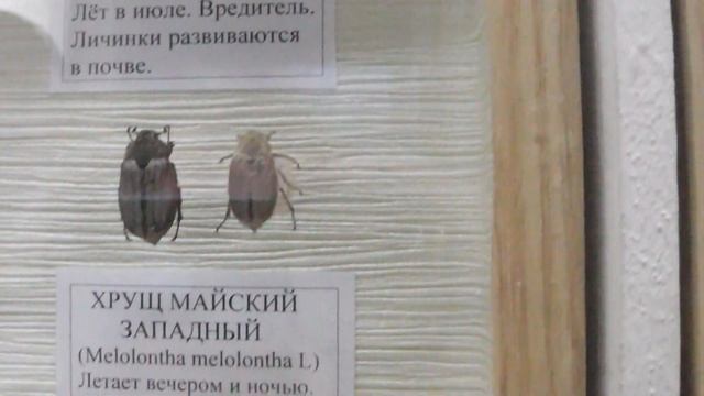 С Мишутой на Чёрном море 2012 год 17 смотреть онлайн