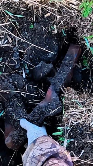 Хороший сигнал! смотреть онлайн