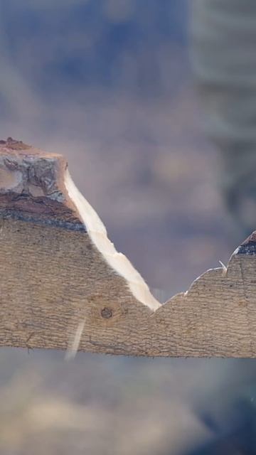 Бушкрафт ножом Милитари смотреть онлайн