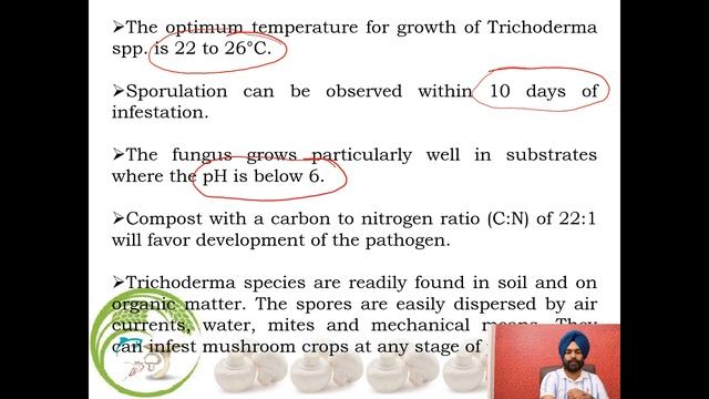 Mushroom Cultivation # Green Mold # Disease during mushroom cultivation. смотреть онлайн