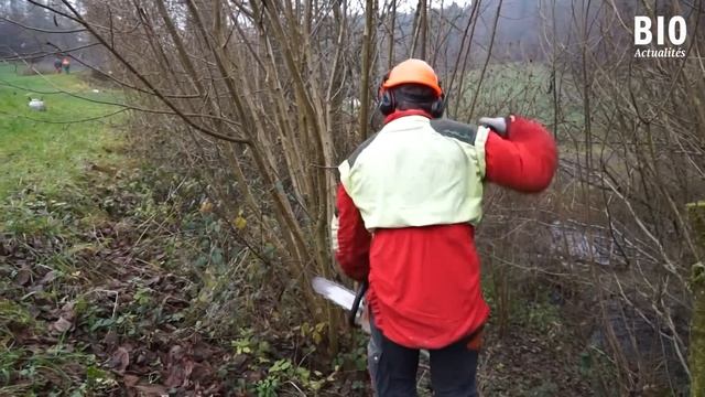 L’entretien sélectif des haies de noisetiers смотреть онлайн