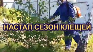 Как_бесплатно_обработать_участок_от_клещей